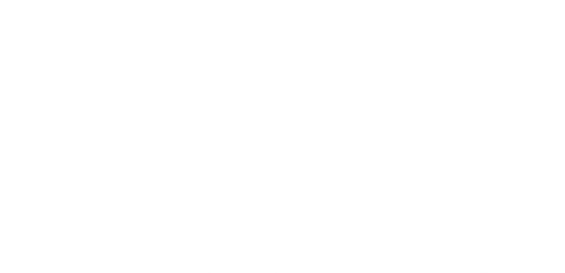 The Steel Woods